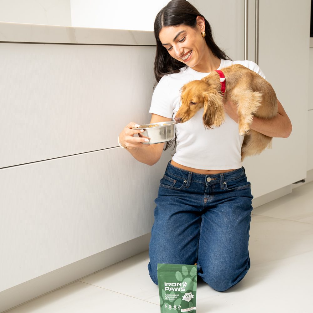 Dog mom feeding her dachshund Iron Paws at home
